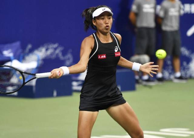 排球运动逐 排球运动逐